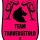 Team Traversetolo